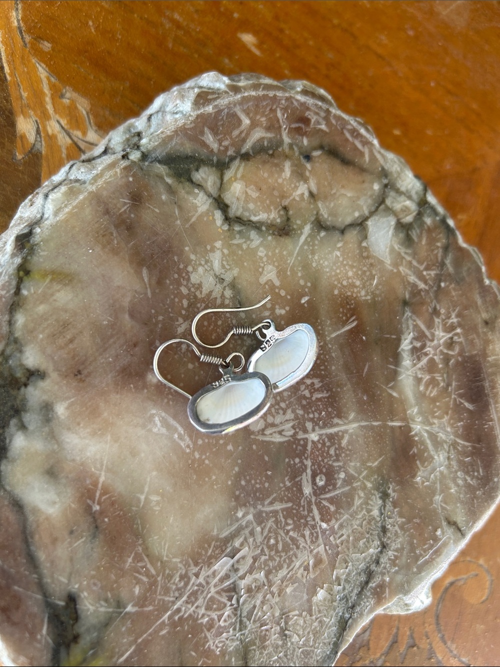 Vintage Ark Shell Drop Earrings - Picture 3 of 5